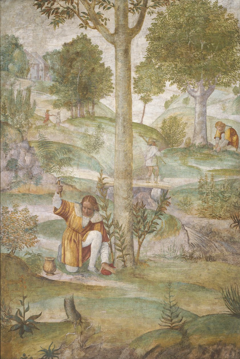 Céfalo escondendo as joias de Bernardino Luini