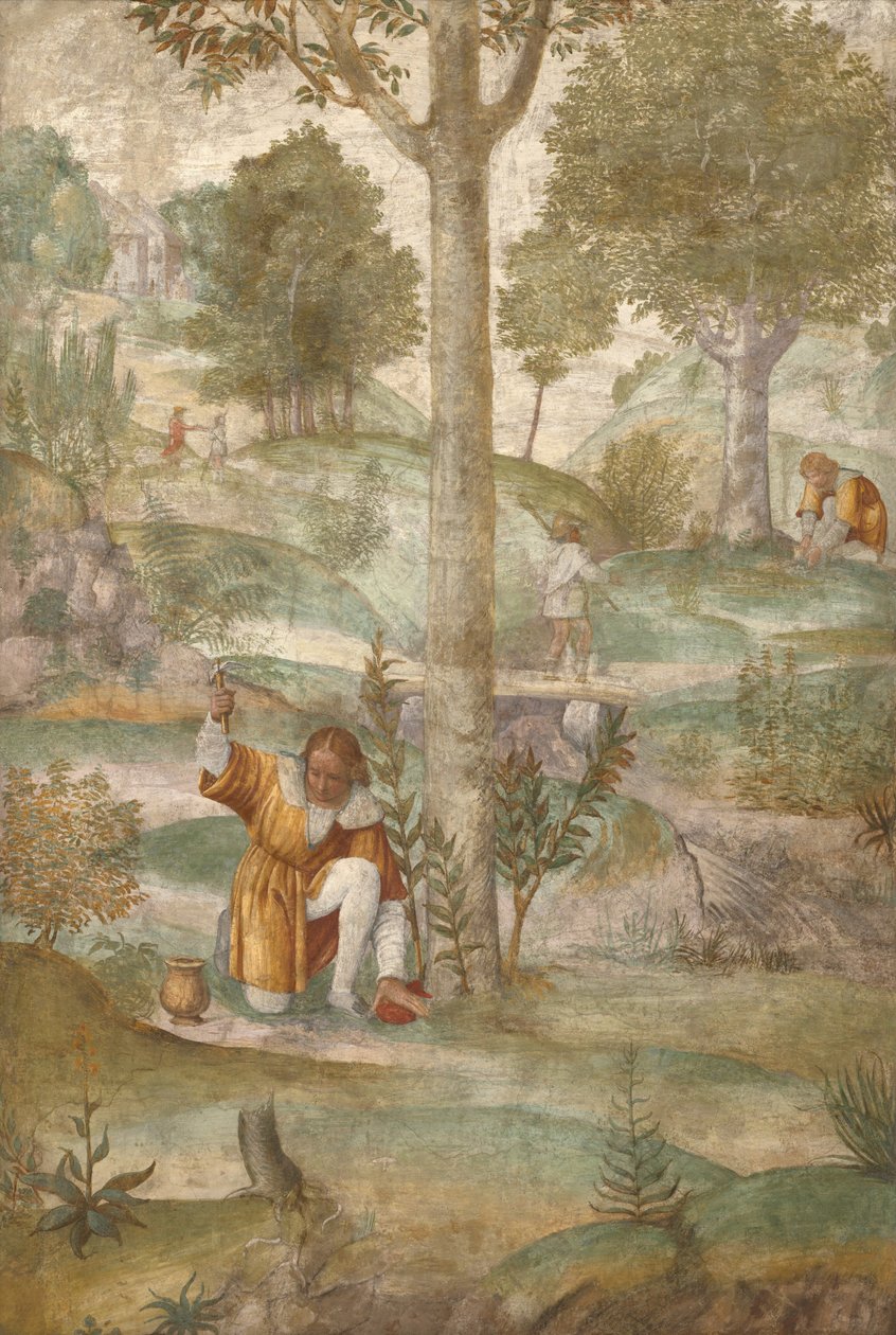 Céfalo escondendo as joias de Bernardino Luini