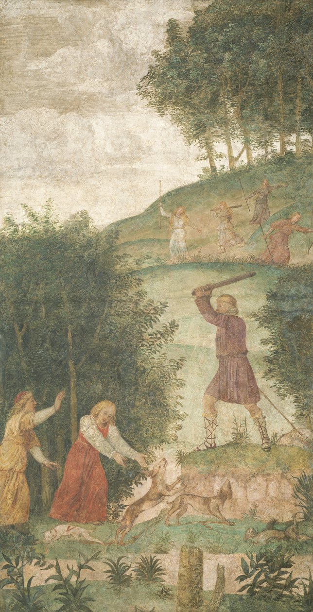Céfalo punido na caça de Bernardino Luini