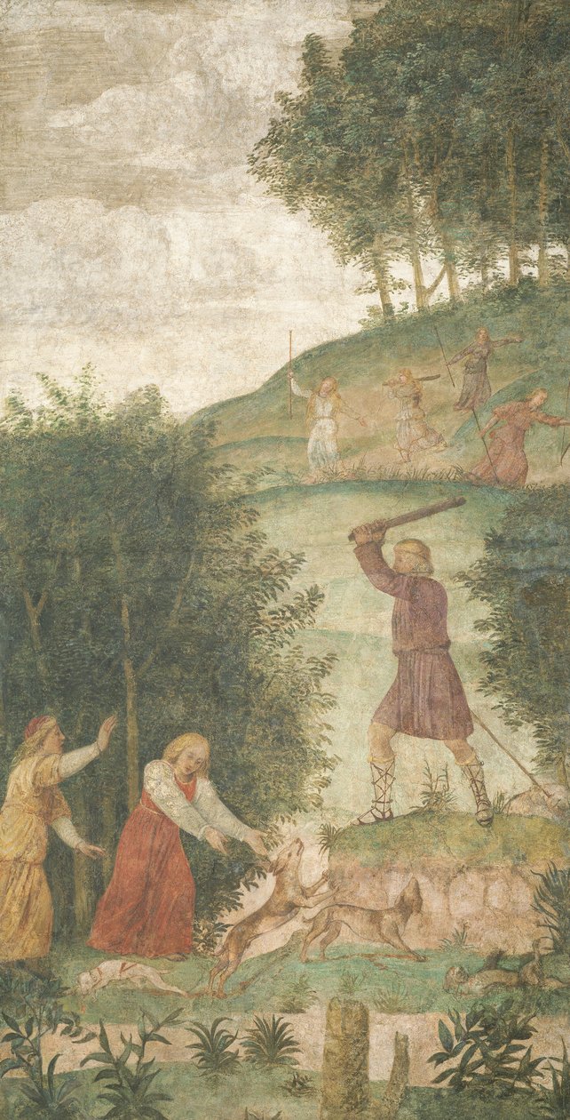 Cephalus punido na caça, c. 15201522. de Bernardino Luini