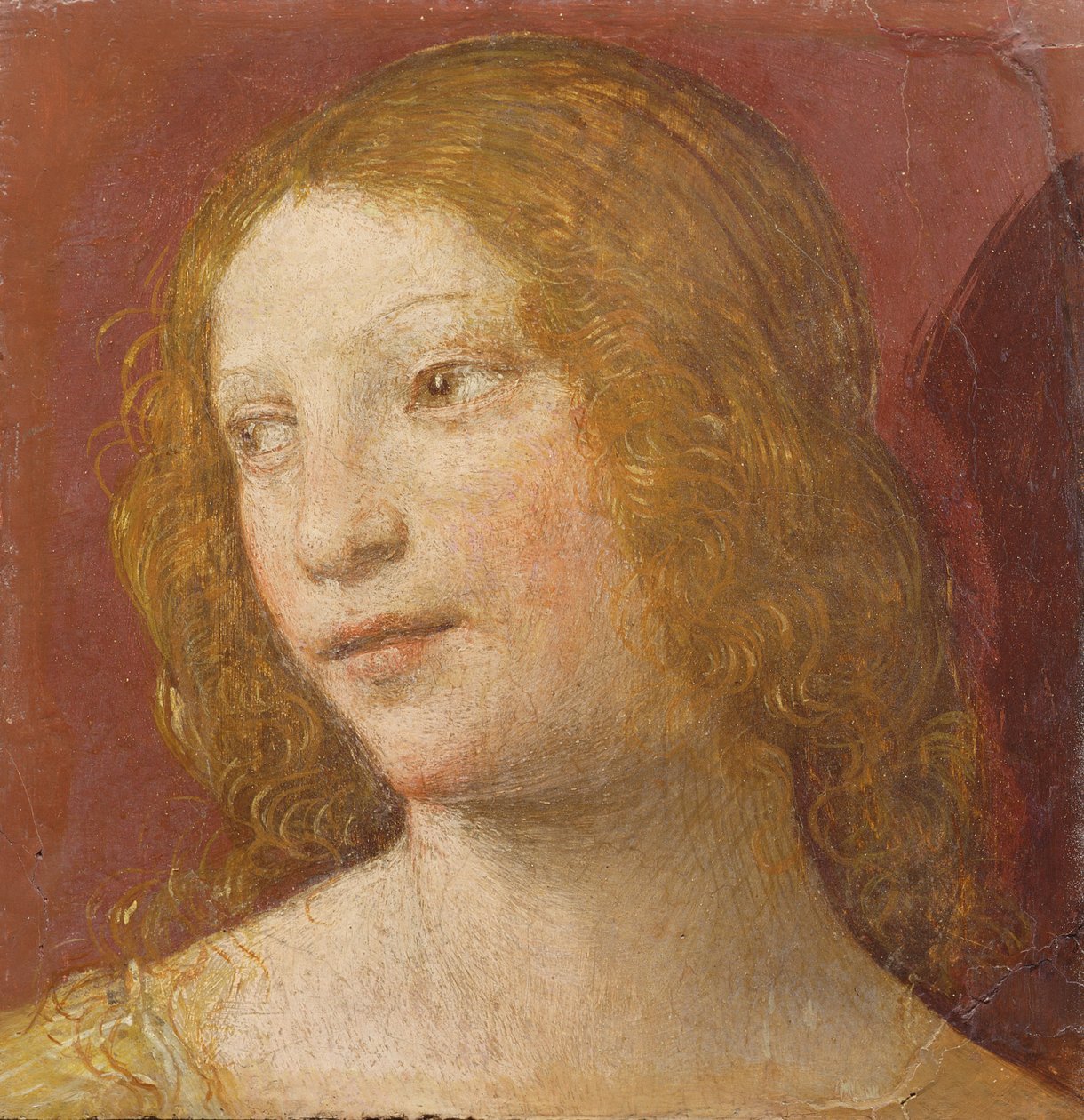 Cabeça de uma jovem mulher de Bernardino Luini