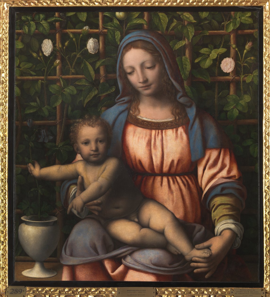 Madonna and Child (Madonna del Roseto) de Bernardino Luini