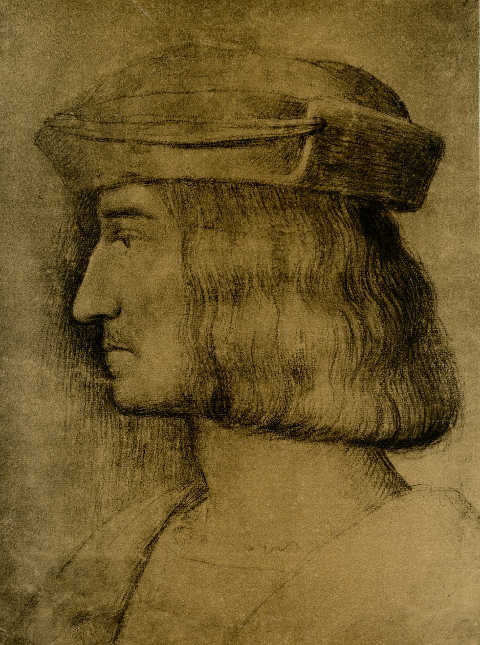 Retrato masculino de Bernardino Luini