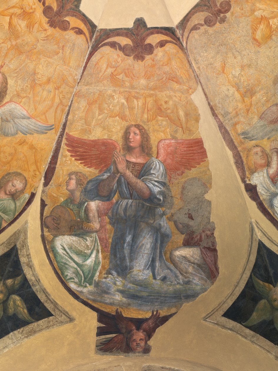 Anjo orando entre dois músicos ajoelhados e querubins de Bernardino Luini