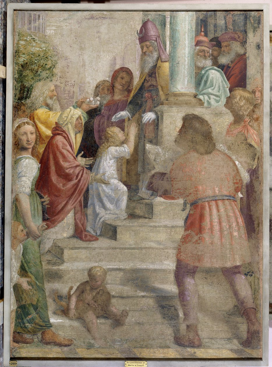 Apresentação de Maria no Templo de Bernardino Luini