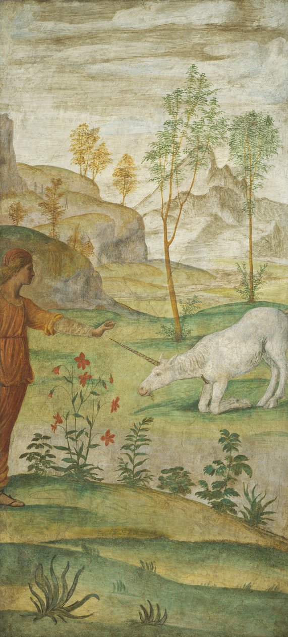 Prócris e o Unicórnio de Bernardino Luini