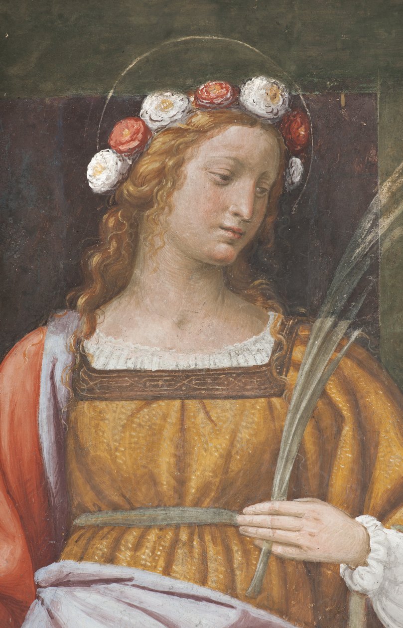 Santa Rosa (detalhe de 3497195) de Bernardino Luini
