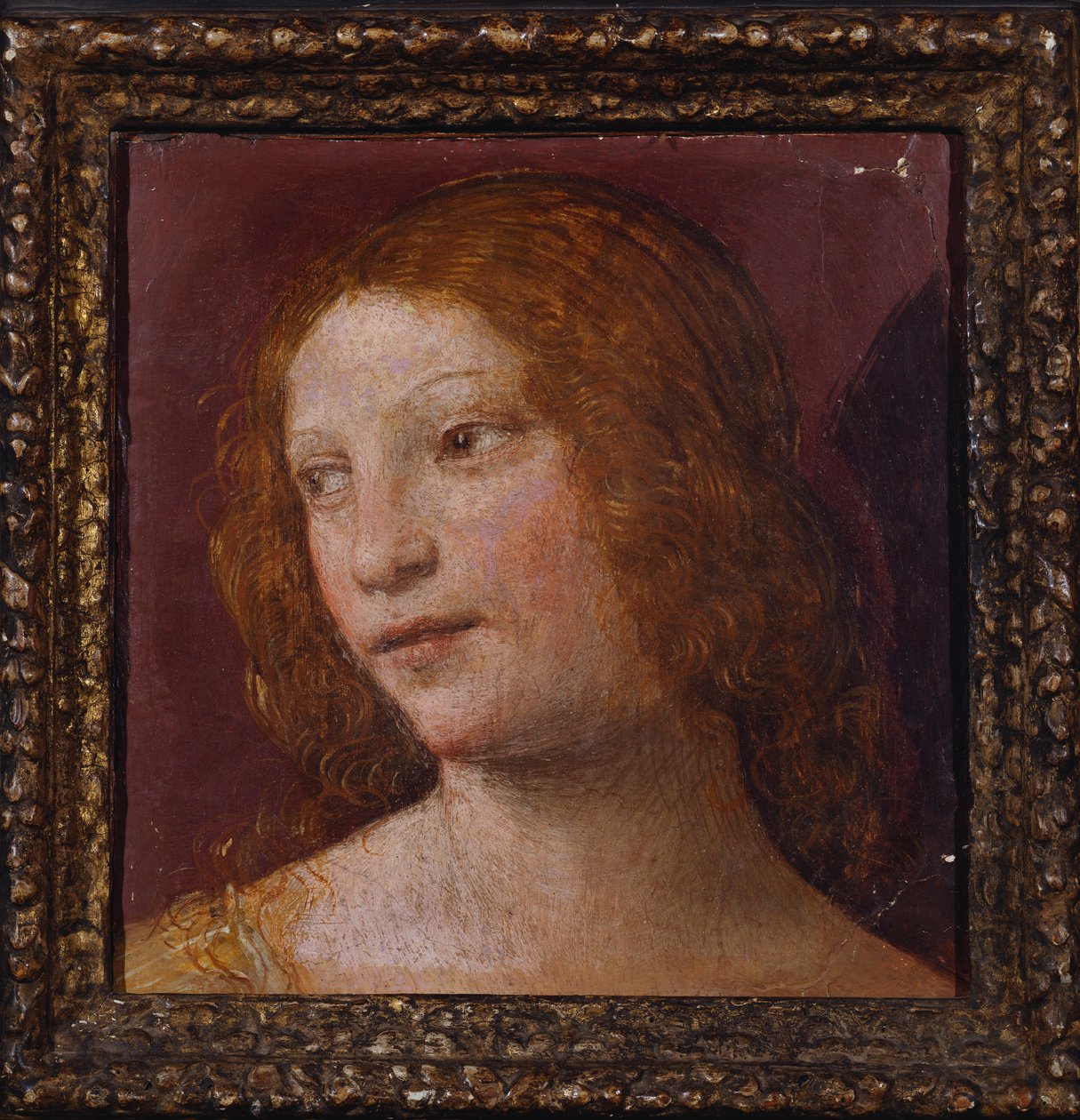 A cabeça de um anjo - um fragmento de Bernardino Luini