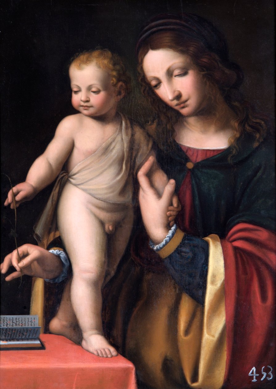 A Virgem com a Criança em Pé (óleo sobre painel de álamo) de Bernardino Luini