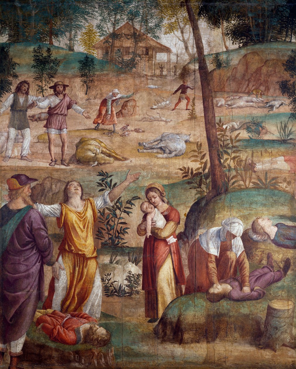 A morte do primogênito, por Bernardino Luini (ca 1480-ca 1532), afresco transferido sobre madeira, 211x169 cm. de Bernardino Luini