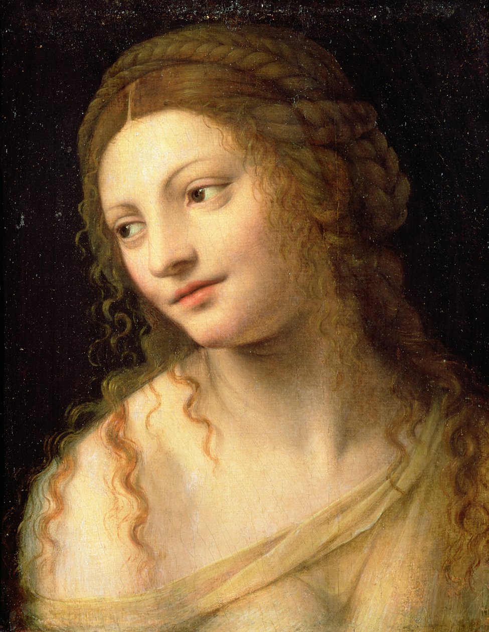 Imagem desconhecida de Bernardino Luini