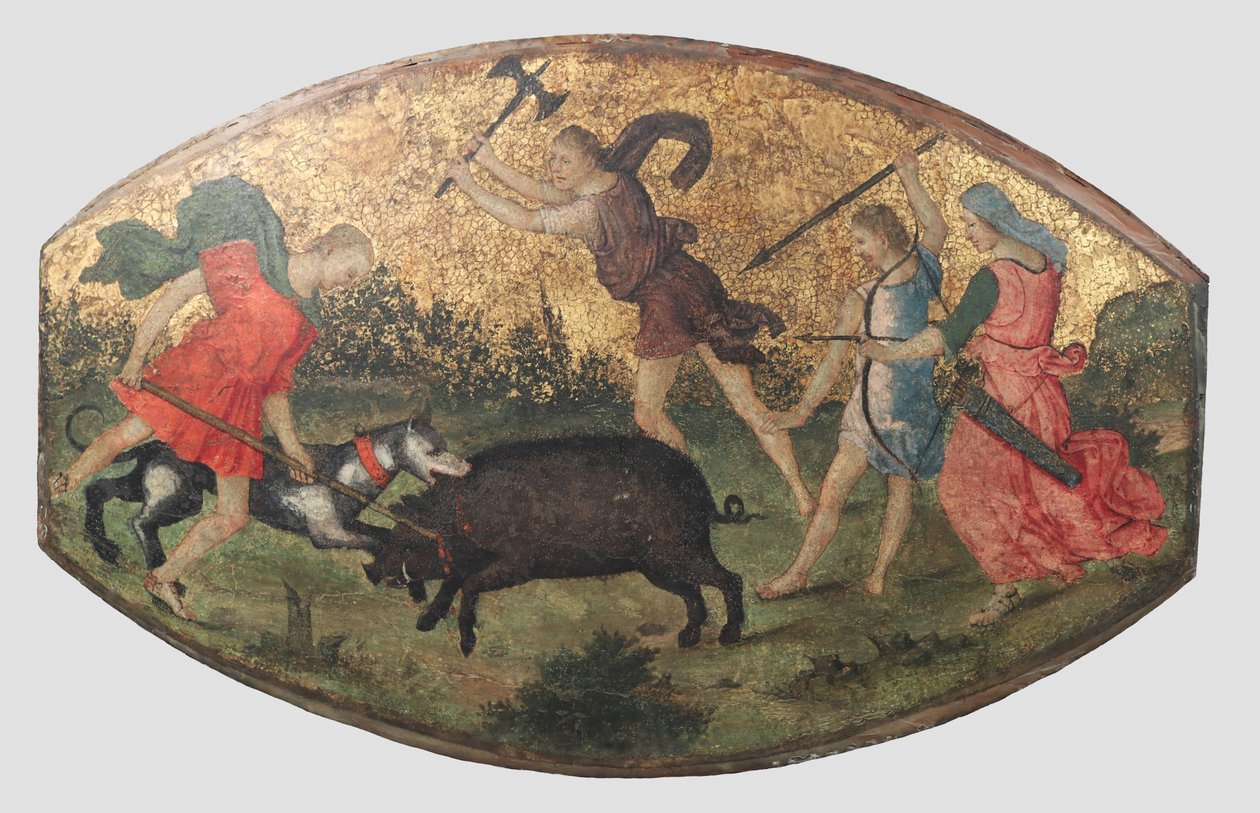 Caça ao Javali de Cálidon, ca. 1509. de Bernardino Pinturicchio