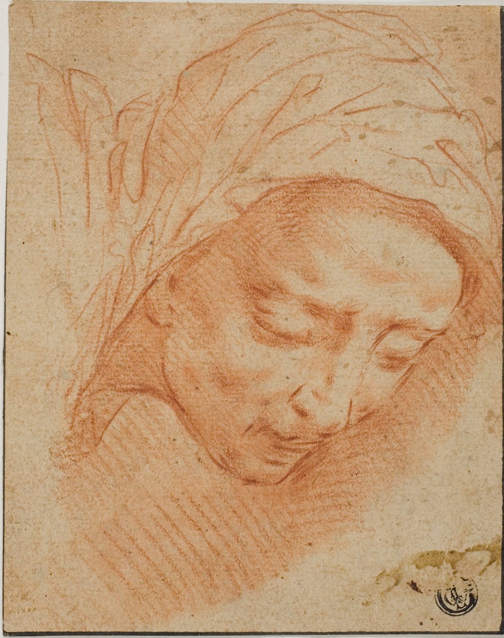 Cabeça de mulher de Bernardino Poccetti