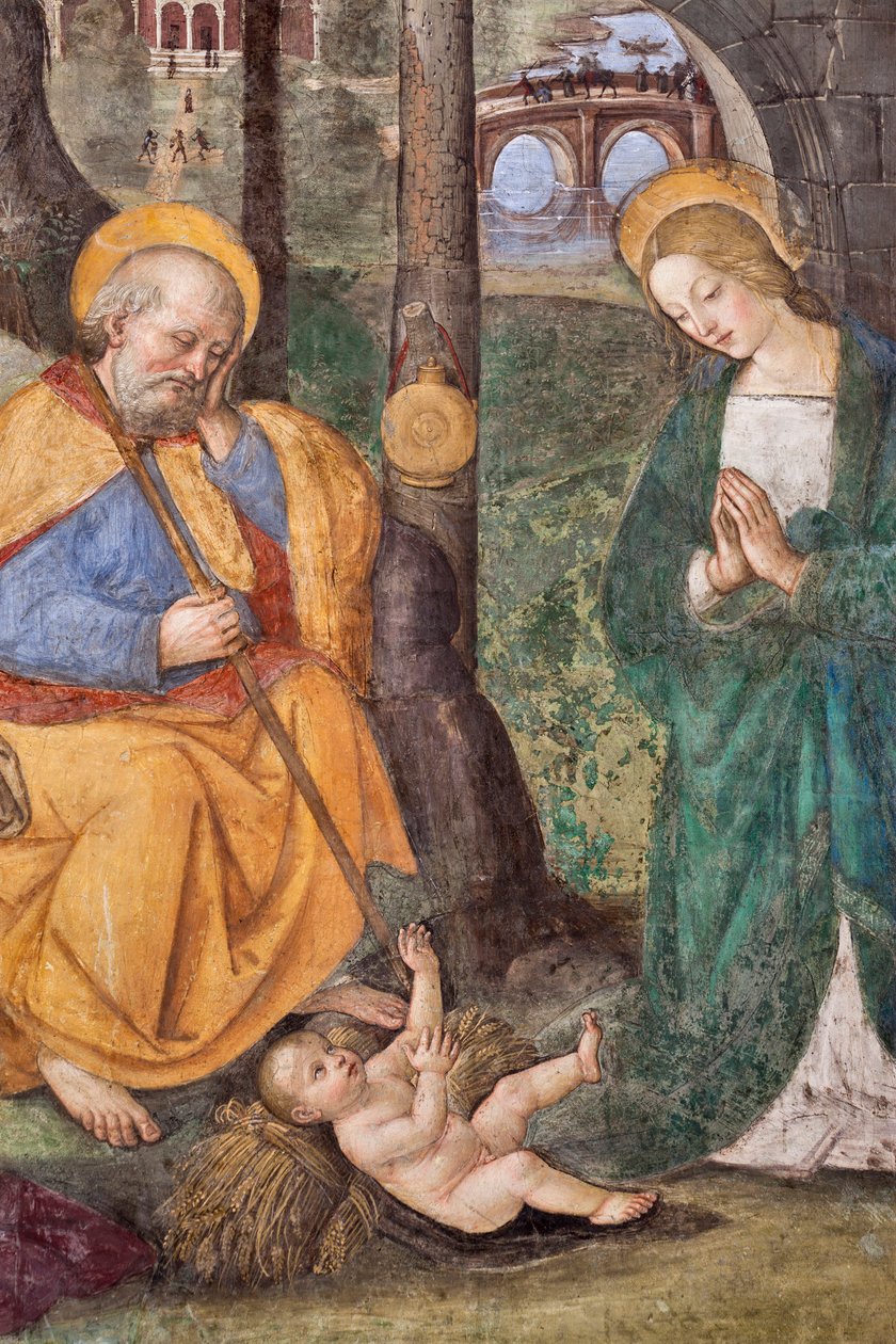 Adoração dos Pastores Pinturicchio (Bernardino di Betto) (1454-1513) 1484-1492 (Igreja de Santa Maria del Popolo), Basílica de Santa Maria del Popolo, Basso della Rovere Chapel Roma Itália de Bernardino di Betto Pinturicchio