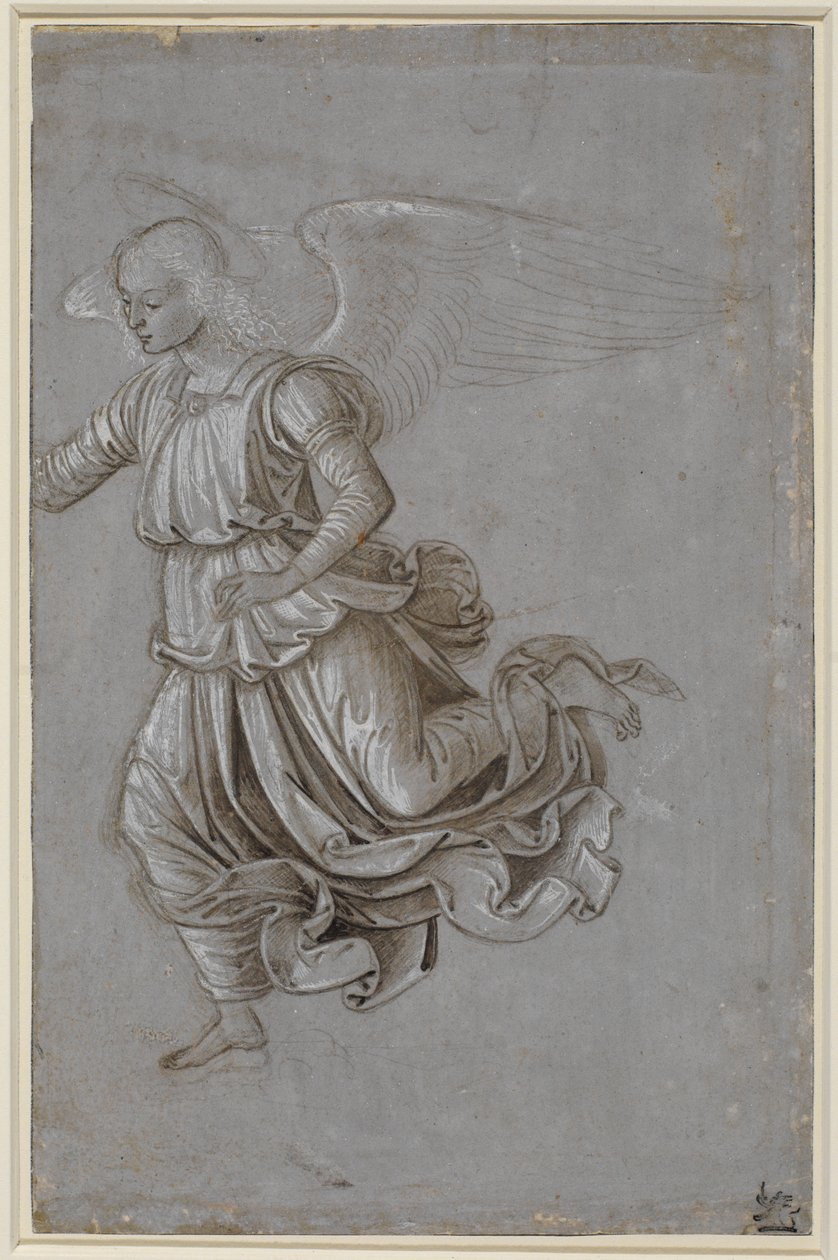 Estudo de um anjo voador de Bernardino di Betto Pinturicchio