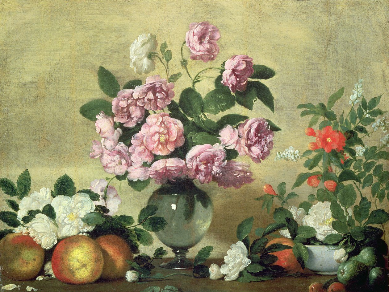 Flores e frutas de Bernardo Strozzi