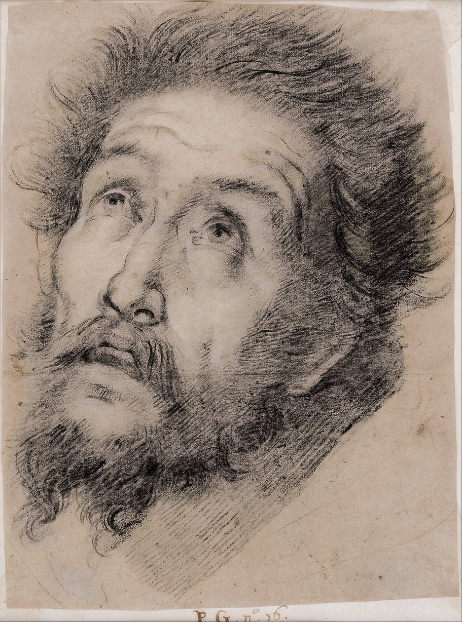 Estudo para São Francisco de Assis adorando a cruz de Bernardo Strozzi