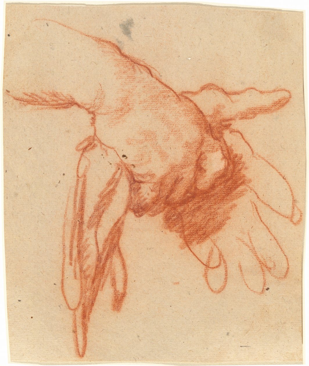 Uma mão segurando luvas vazias de Bernardo Strozzi