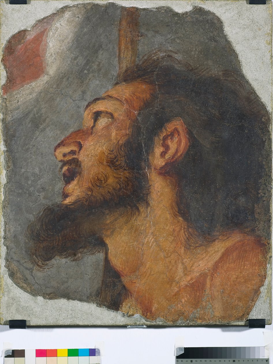 Cabeça de São João Batista Fragmento de afresco destacado, 1622 de Bernardo Strozzi