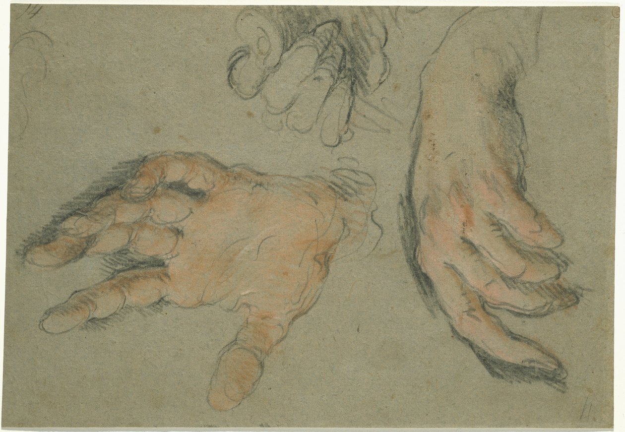 Estudo das Três Mãos, 1625-30 (giz preto e vermelho sobre papel) de Bernardo Strozzi