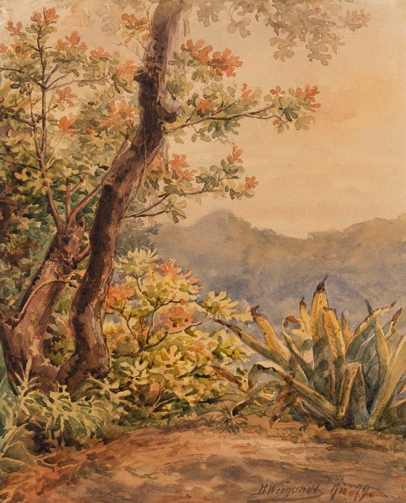 Paisagem brasileira com agave de Bernhard Wiegandt