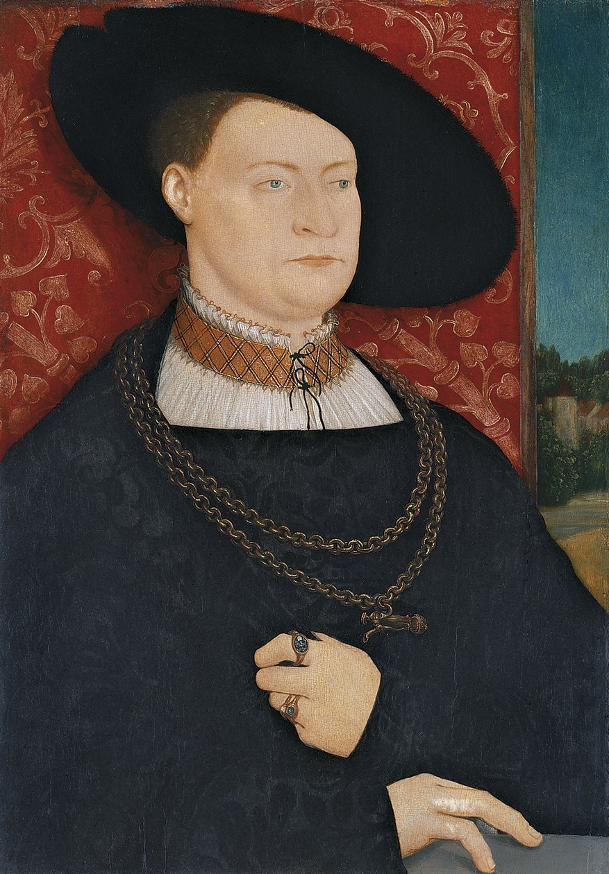 Retrato de um homem de Bernhard Strigel