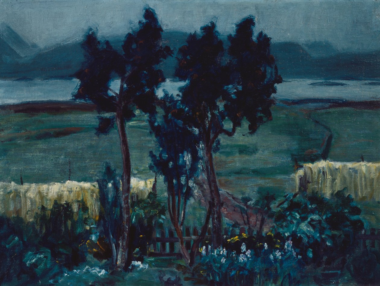 Seção de Oeksnes de Bernt Wilhelm Tunold