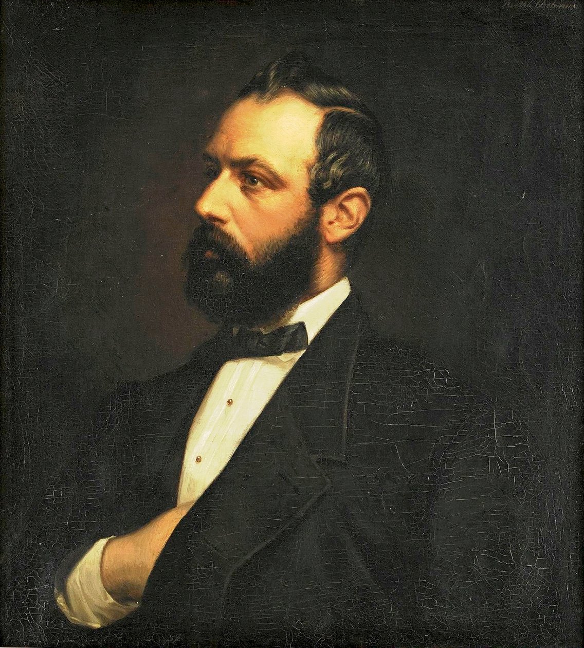Retrato de karl xv de Bertha Valerius