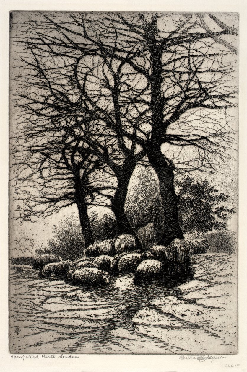 Hampstead Heath, Londres de Bertha E. Jaques