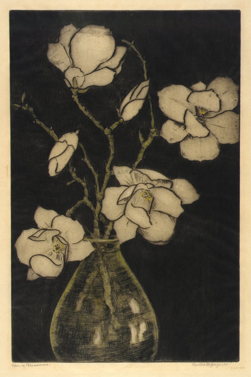 Flores de primavera (Magnólia arbórea) de Bertha E. Jaques