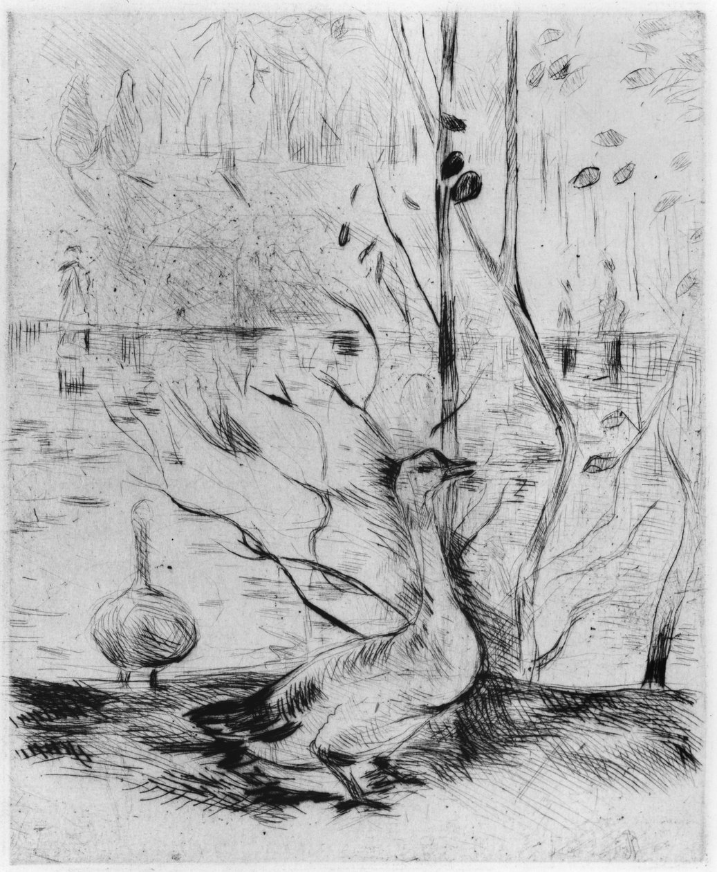 Ganso, 1889 (ponto de seca) de Berthe Morisot