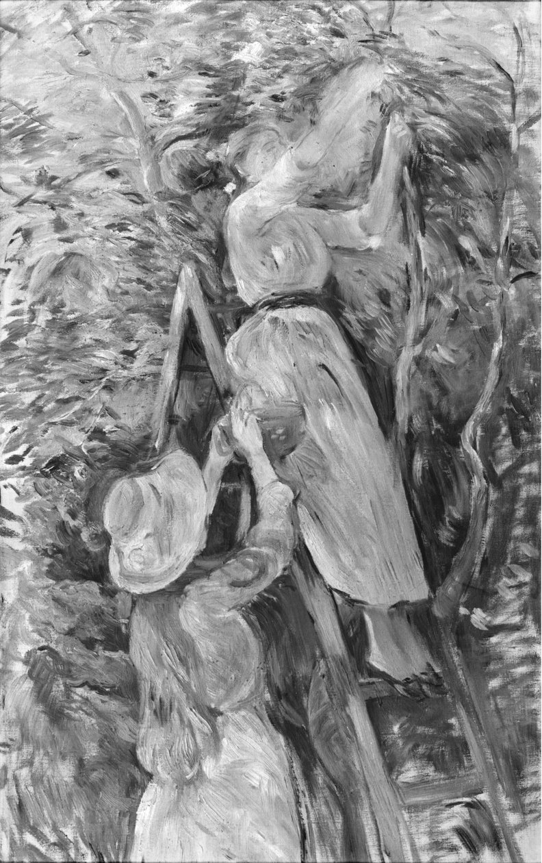 Escolhendo cerejas, 1891 (ver também 18907) de Berthe Morisot