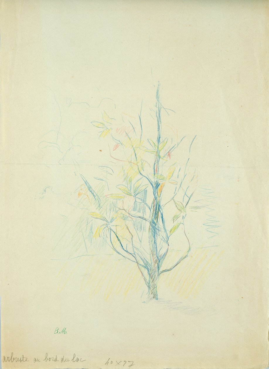 Arbustos à beira do lago, 1893 (lápis de cor sobre papel) de Berthe Morisot