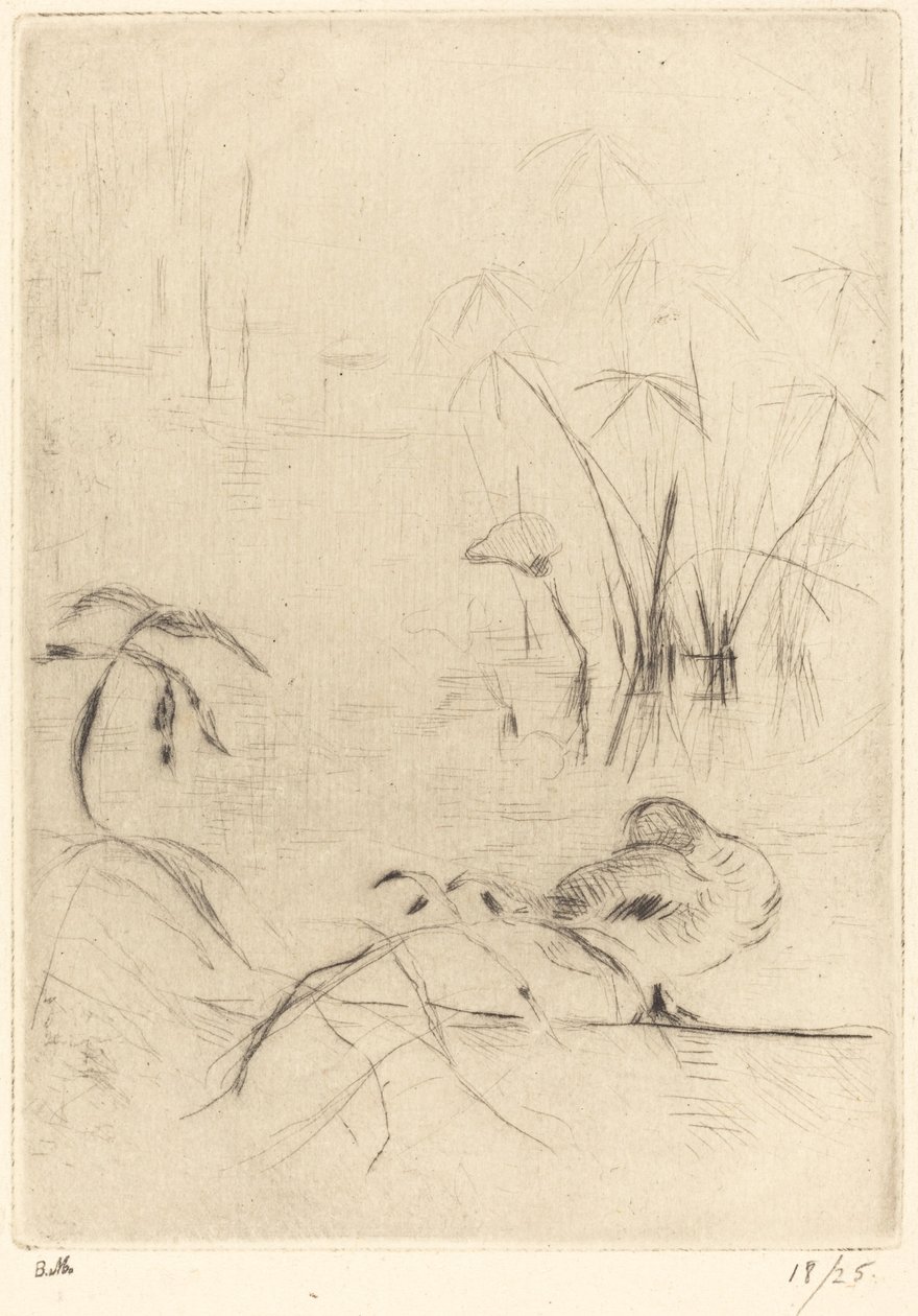 Patos em repouso no banco, 18881890. de Berthe Morisot