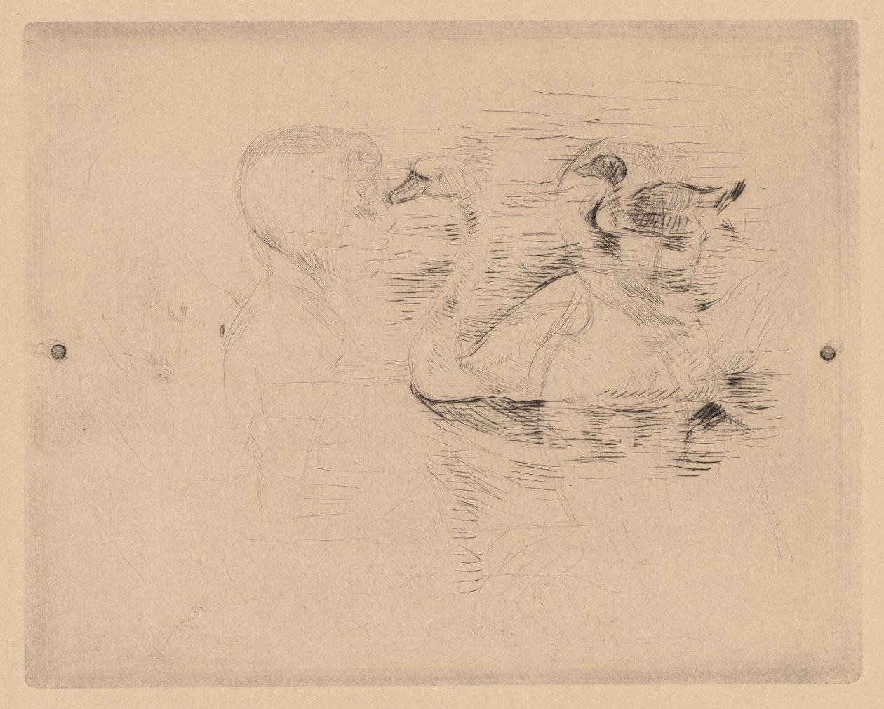 Cisne e Pato, com retratos de Julie de Berthe Morisot