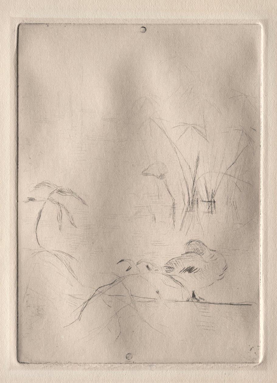 O pato de Berthe Morisot