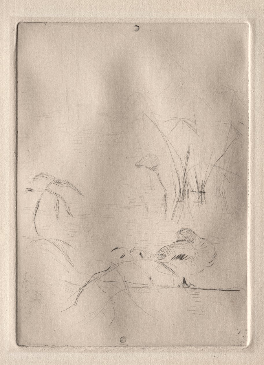 O Pato de Berthe Morisot