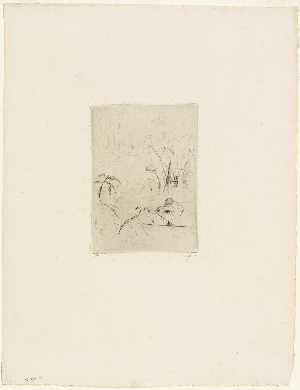 O Pato de Berthe Morisot