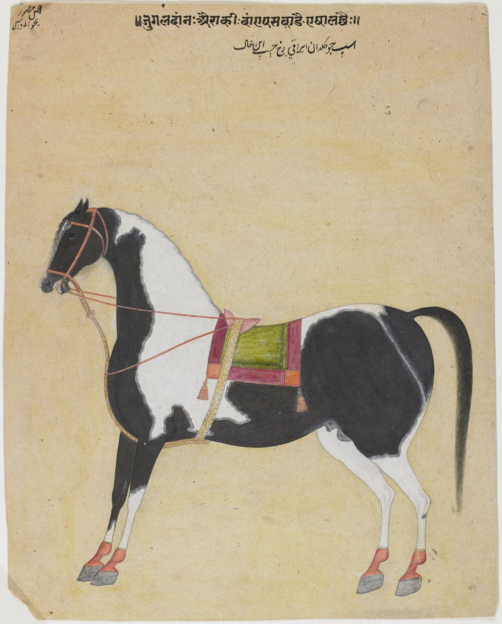 O garanhão Jukaldan Ayragi, c.1730 (wc opaca no papel) de Bhavani Das