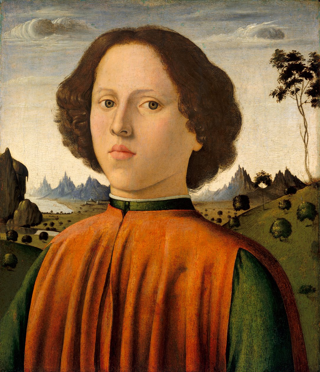 Retrato de um menino, c.14761480 (óleo e têmpera no painel) de Biagio d