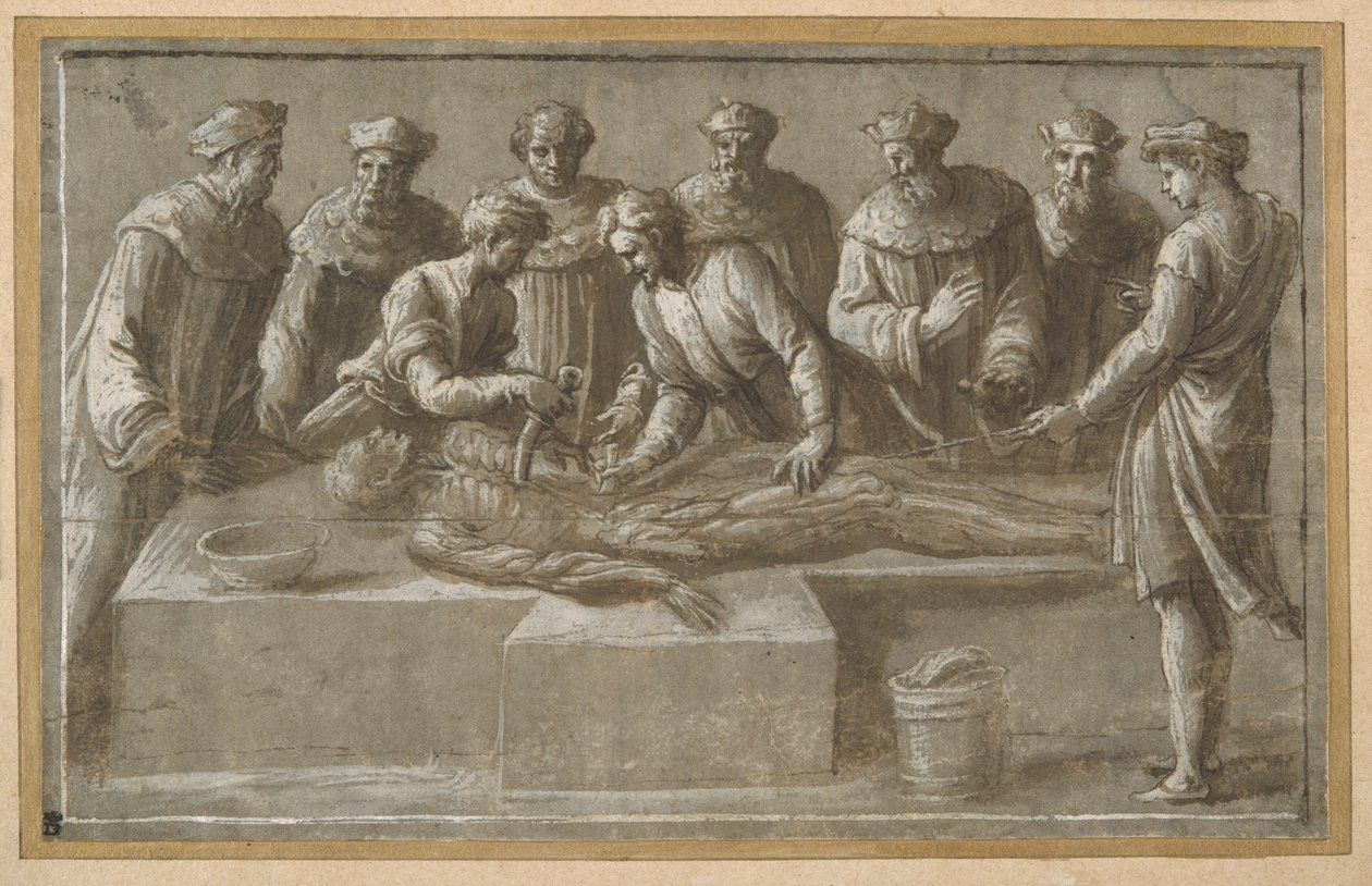Seis professores de anatomia, dissecando um cadáver masculino esfolado (caneta e tinta marrom com lavagem marrom e aumento) (ver também 404475) de Biagio Pupini