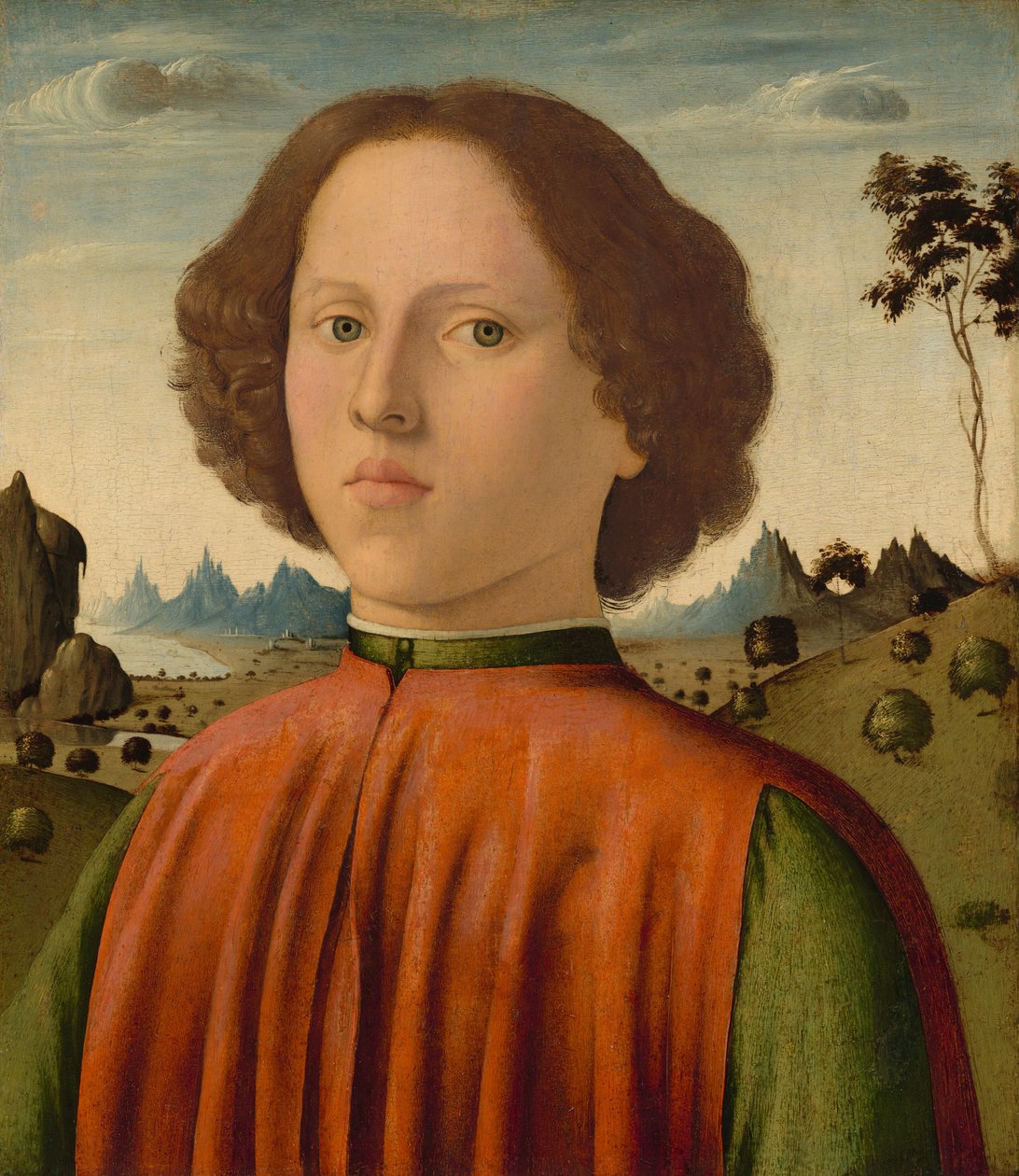 Retrato de um menino de Biagio d