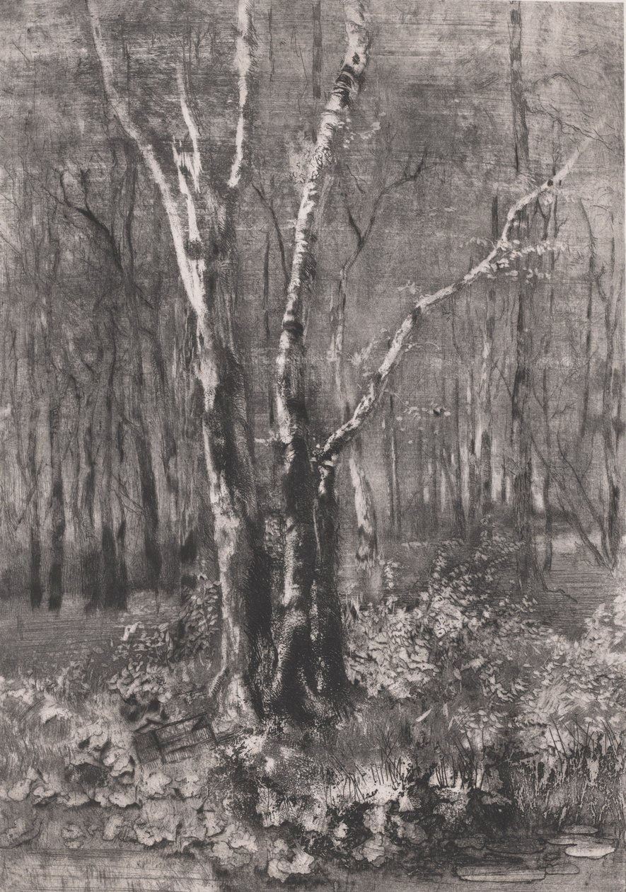 Bosques no Parque perto de Monza, 1895. de Bianchi Mose