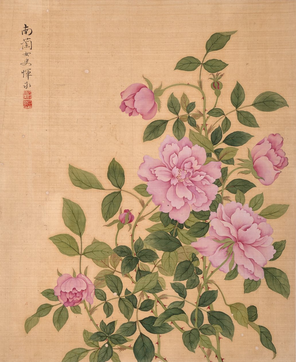Rosa do Álbum de Flores (tinta e cor sobre seda) de Bing Yun