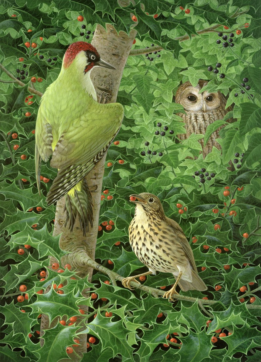 Pica-pau, Coruja e Thrush (guache sobre papel) de Birgitte Hendil