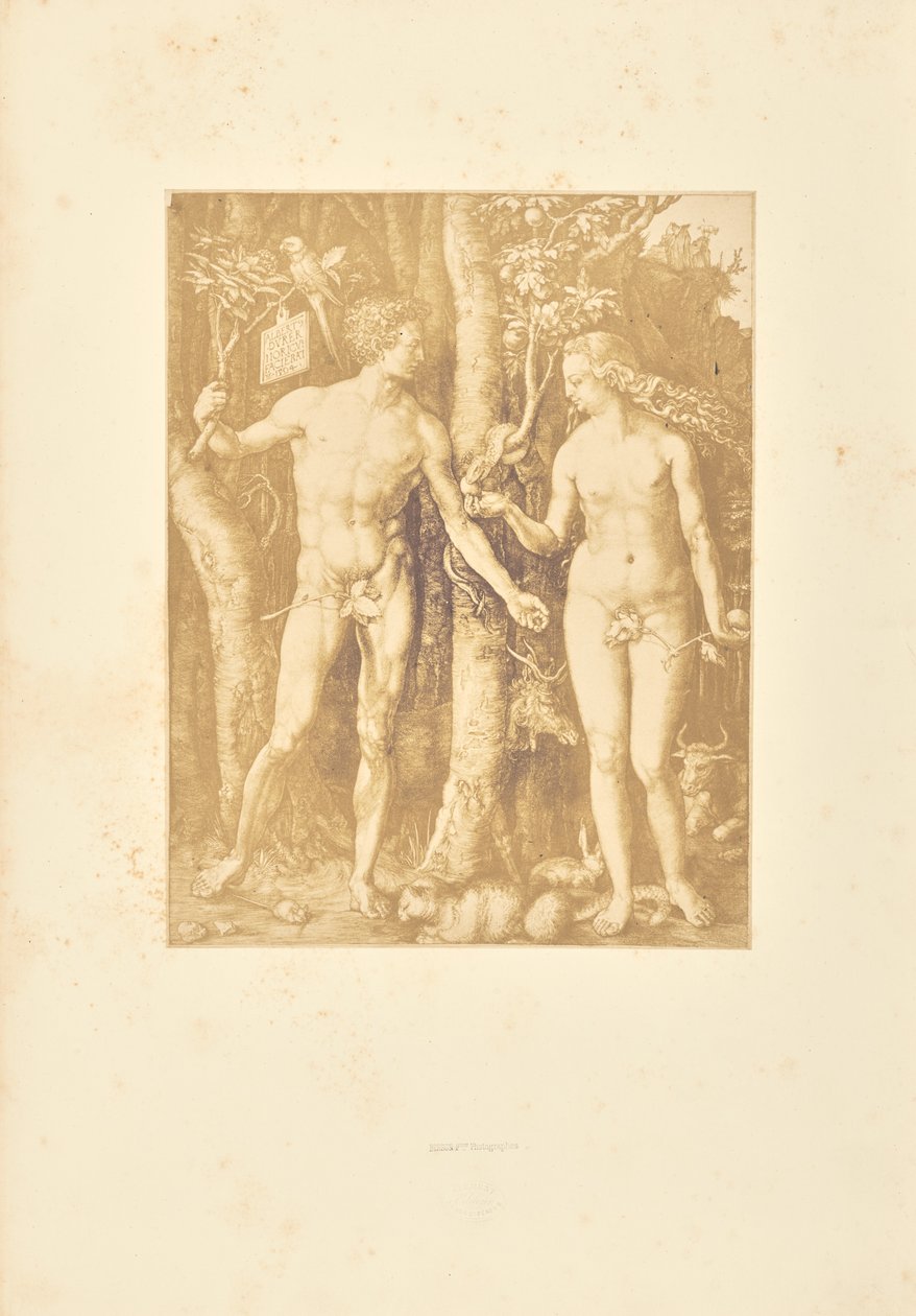 Adão e Eva de Bisson Frères