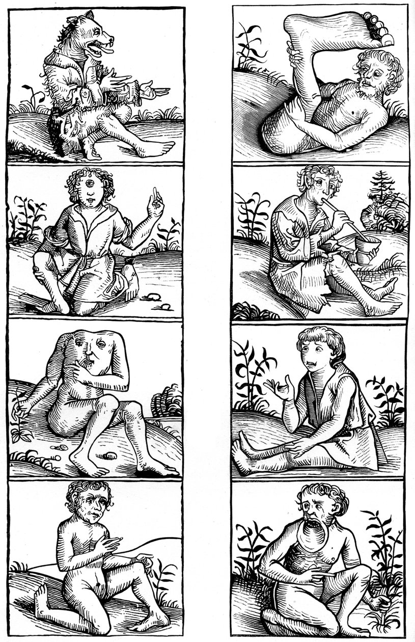 Crenças e superstições populares, 1493 1849. de Bisson and Cottard