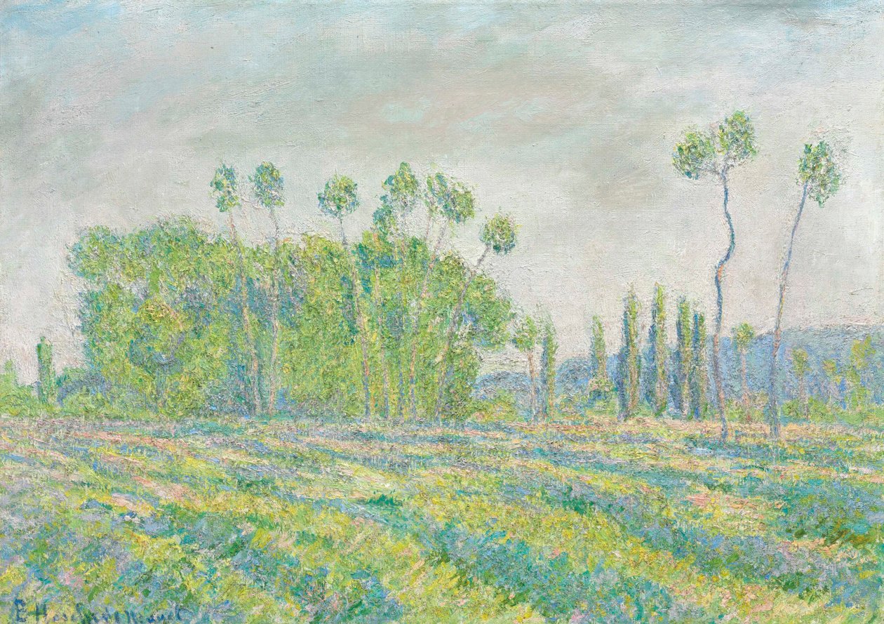 Francês:  Giverny, Peupliers des Ajoux de Blanche Hoschede Monet