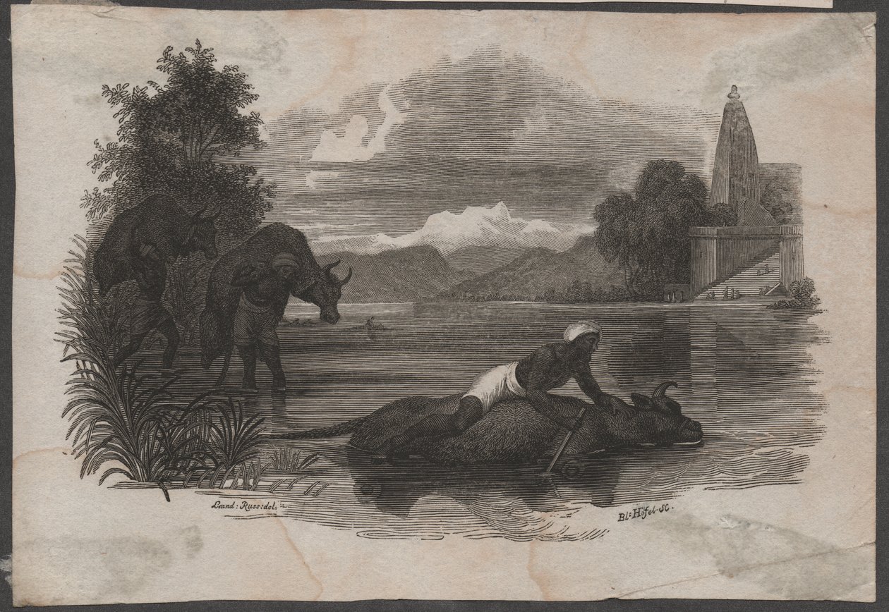 Agricultores transportam gado morto, ca. 1850 (gravura) de Blasius Höfel