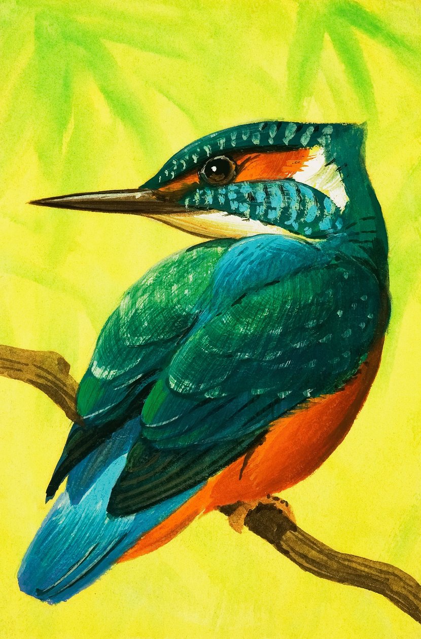 Kingfisher. de Bob Hersey